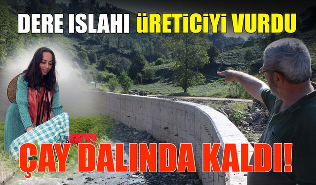 Dere Islahı Üreticiyi Vurdu! Çay Dalında Kaldı...