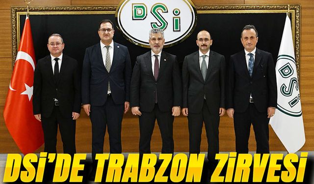 Ak Parti Trabzon Milletvekili Yılmaz Büyükaydın DSİ Genel Müdürü İle Değerlendirme Yaptı