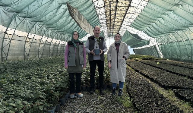 Trabzon’da Laboratuvar Ortamında Fidan Devrimi