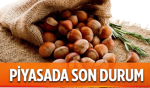 Fındık Fiyatları Bugün Ne Kadar Oldu? Uzmanlar Herkesi Uyarmıştı!