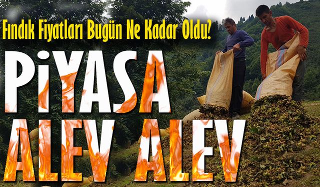 Fındık Fiyatları Bugün Ne Kadar Oldu? Piyasa Alev Alev!