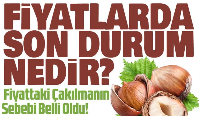 Fındık Fiyatlarında Sert Düşüş: Fiyattaki Çakılmanın Sebebi Belli Oldu!