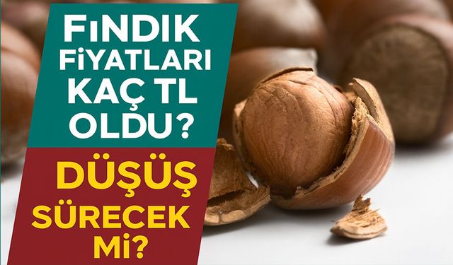 Fındık Fiyatları Neden Düştü? Fındıkta Düşüş Ne Kadar Sürecek?