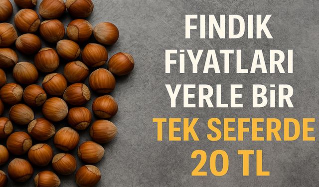 Fındık Fiyatları Yerle Bir: Tek Seferde 20 Lira Daha Silindi!