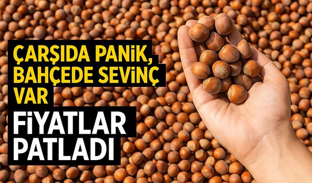 Bugün Fındık Fiyatları Patladı: Çarşıda Panik, Bahçede Sevinç Var