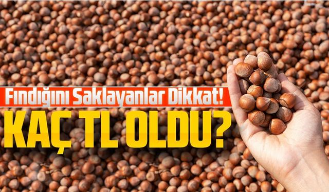 Bugün Fındık Kaç TL Oldu? Fındığını Saklayanlar Dikkat!
