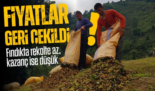 Fındık Fiyatları Geri Çekildi: Bu Şehirde Satışlar Resmen Çakıldı!