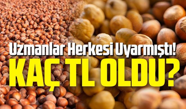 Karadeniz’de Fındık Fiyatları Kaç TL Oldu? Uzmanlar Herkesi Uyarmıştı!
