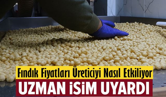 Fındık Fiyatları Tekrar Güncellendi: Uzman İsim Herkesi Uyardı!