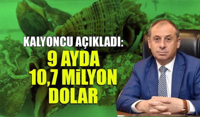 9 Ayda 10,7 Milyon Dolar! Deniz Salyangozu İhracatında Hedef Zirve