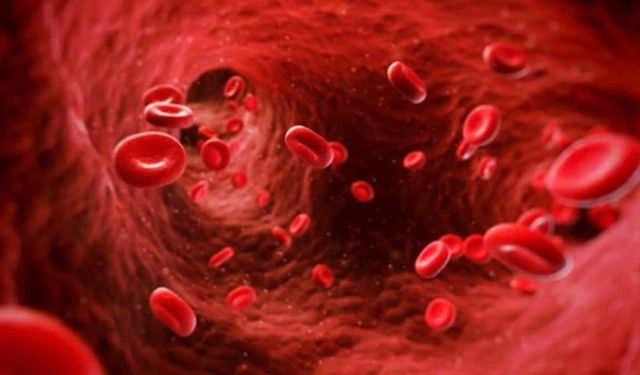 Kanama Ve Pıhtılaşma Bozuklukları Nasıl Anlaşılır? Dikkat Edilmesi Gereken Belirtiler Neler?