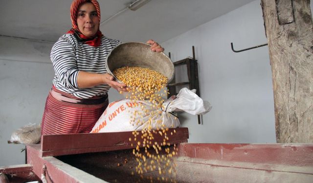 Mısır unu için son durak! Keşap’tan miras