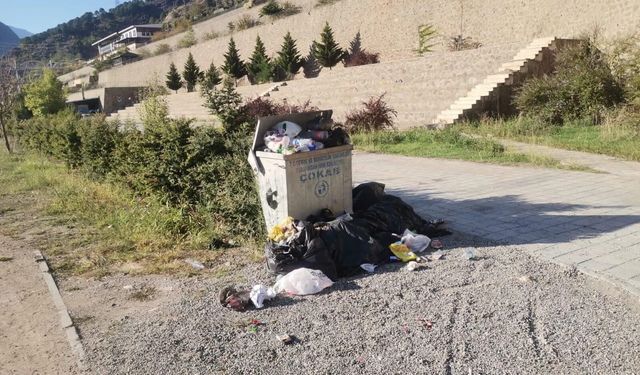Bu Rezaleti Artvinli Hak Etmiyor! Park Tepkisi Yükseliyor...
