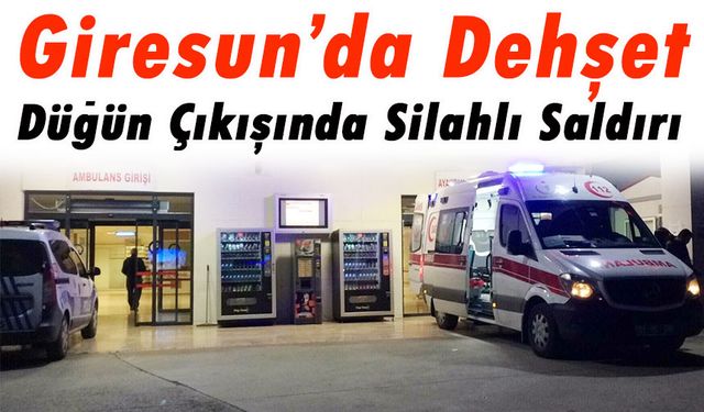 Giresun’da Korkunç Olay: Boşandığı Eşi Silahla Saldırdı, Hayatını Çay Termosu Kurtardı