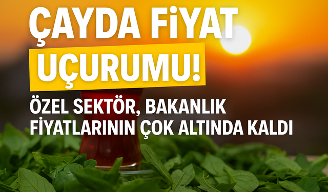 Yaş Çay 2025 Fiyatı Ne Kadar? ÇAYKUR ve Özel Sektör Farkı Ne?