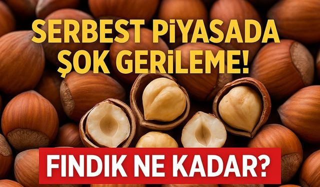 Fındık Fiyatları Bugün Ne Kadar Oldu? Serbest Piyasada Şok Gerileme!