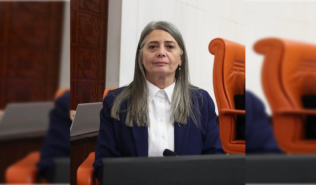 Sibel Suiçmez’den Aile Bakanlığı Bütçesine Tepki: “Kadına ve Çocuğa Bu Bütçeyle Hizmet Edemezsiniz”