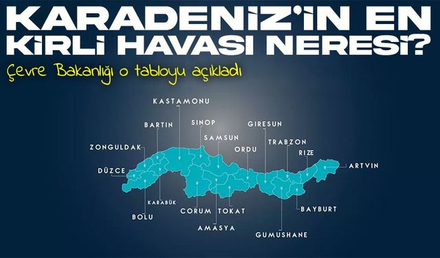 Karadeniz’in En Kirli Havası Ünye’de Ölçüldü: Hava Kalitesi Tehlikeli Sınırda