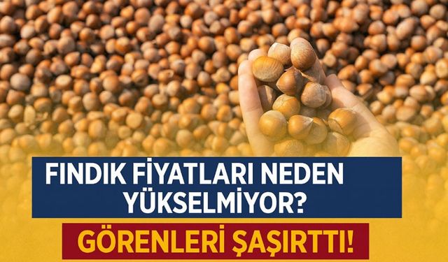 Fındık Fiyatları Görenleri Şaşırttı! Fındık Fiyatları Neden Yükselmiyor?