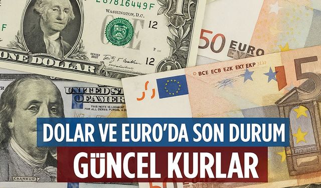 Serbest Piyasa Döviz Kurları: Dolar ve Euro Bugün Kaç TL?