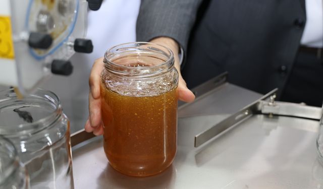 Artvin'de bal dolum ve paketleme tesisi hizmete açıldı