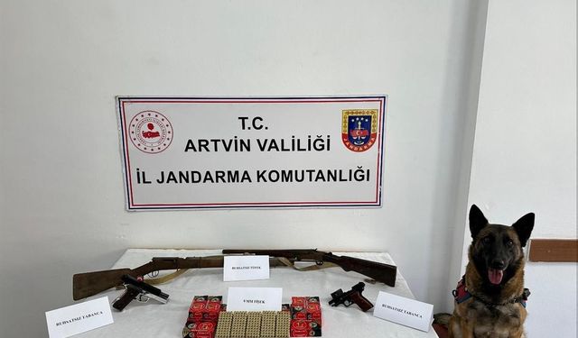 Artvin'de silah kaçakçılığı operasyonu