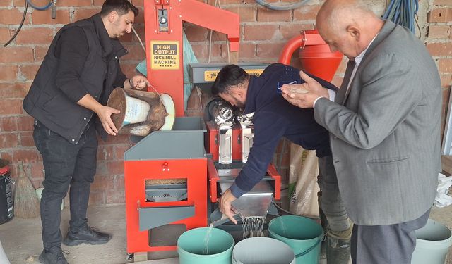 Bafra Ovası'nda kurulan makinede çeltiğin randımanı tespit ediliyor