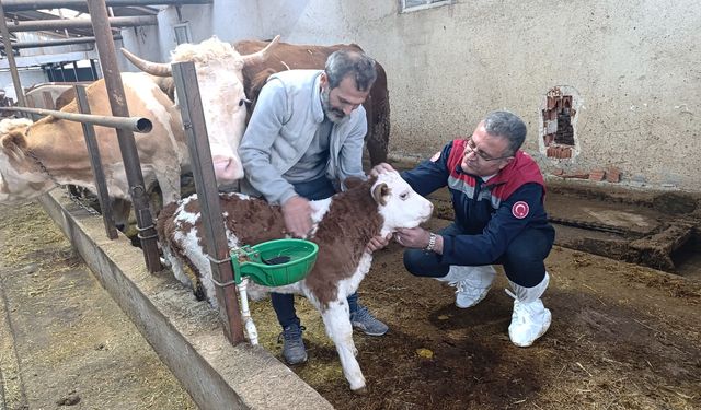 Samsun Tarım ve Orman Müdürü Yılmaz, Ladik'te besicileri ziyaret etti