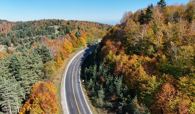 Samsun'un Alaçam ilçesinde Kızlan Yaylası sonbahar renklerine büründü