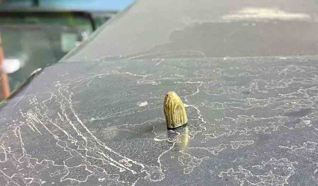 Artvin'de maganda kurşunu park halindeki araca ve iş yerine isabet etti