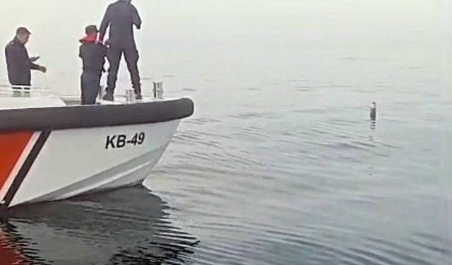 Artvin'in Hopa ilçesi açıklarında denizde roket motoru bulunduğu iddiası