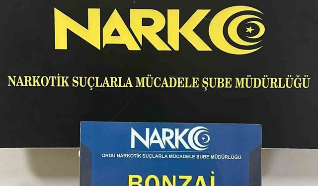 Ordu’da uyuşturucu operasyonları: 5 tutuklama