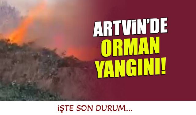 Artvin'de Yangın Ormana Sıçradı! İşte Son Durum...