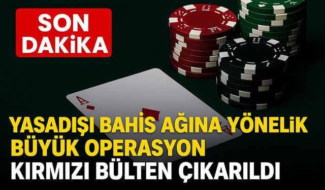 Batuhan Karadeniz ve Fedlan Kılıçaslan Hakkında Şok Karar: Malvarlıklarına El Konuldu, Kırmızı Bülten Çıkarıldı
