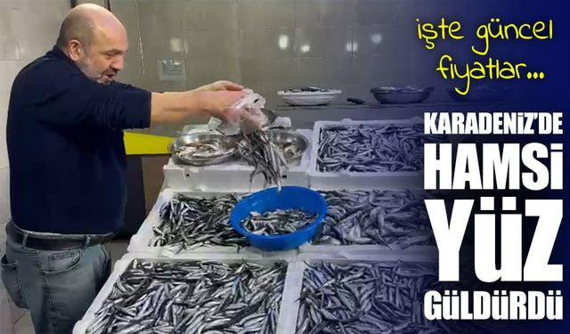 Balıkçı da Halk da Memnun: Rize’de Hamsi Bu Sezon Hem Bol Hem Ucuz