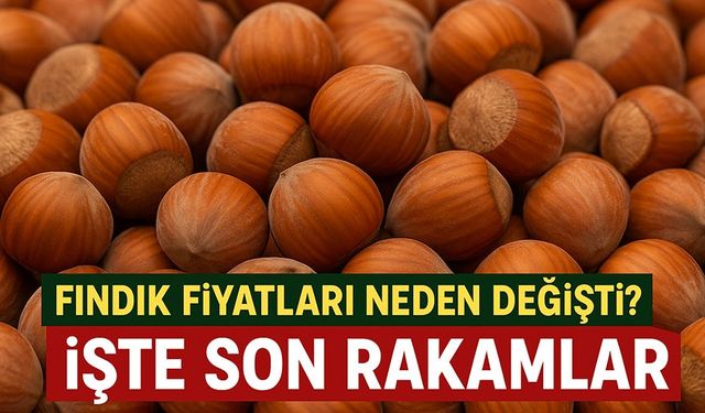 Bugün Fındık Fiyatları Neden Değişti? İşte En Güncel Fiyatlar