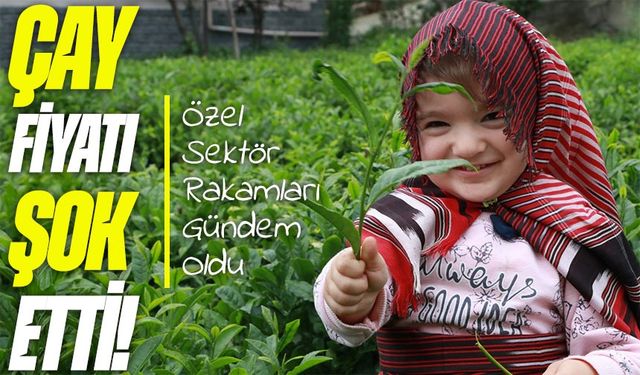 Çay Parası El Yakıyor: Bugün ÇAYKUR Fiyatı ve Piyasa Arasındaki Uçurum Şaşırttı