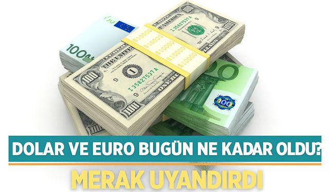 Dolar ve Euro Bugün Ne Kadar Oldu? Kur Fiyatlarında Son Durum Merak Uyandırdı