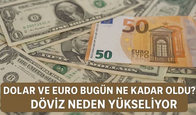 Dolar Euro Fiyatlarında Son Durum! Euro Neden Artıyor?
