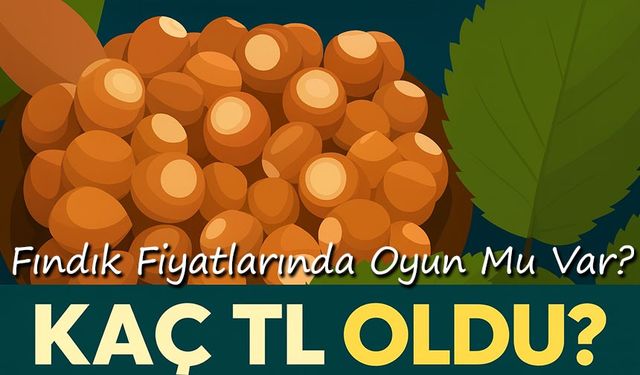 Bugün Fındık Fiyatları Kaç TL Oldu? Çeşitlere Göre Güncel Kilo Fiyatı Açıklandı