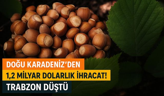 Doğu Karadeniz’den 1,2 Milyar Dolarlık İhracat! Gümüşhane Zirveye Tırmandı, Trabzon Geriledi