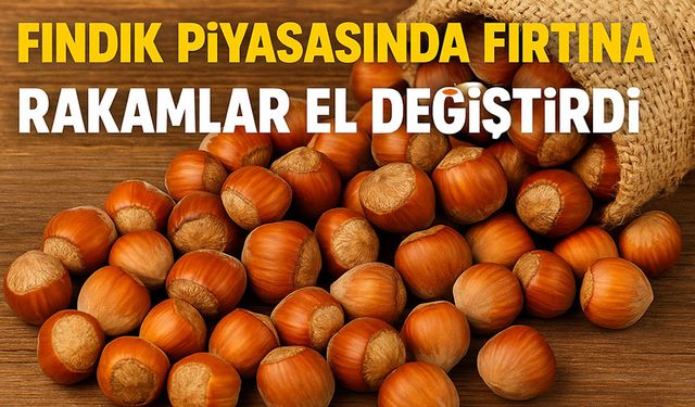 Fındık Piyasasında Fırtına: Bugün Rakamlar El Değiştirdi!
