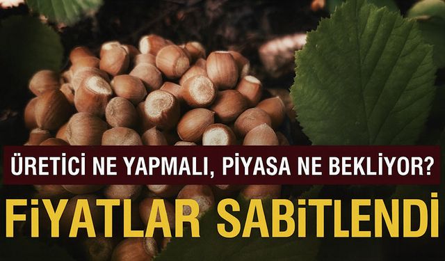 Fındık Fiyatları Neden 260-280 TL Arasında Sabitlendi? Üretici Ne Yapmalı, Piyasa Ne Bekliyor?