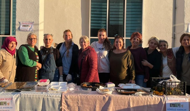 Hopa’da Sokak Hayvanları İçin Dayanışma Kermesi: “Gelir Kulübe ve Mama İçin Kullanılacak”