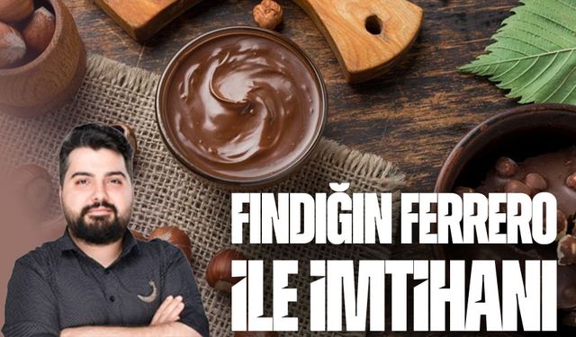 Fındığın Ferrero ile imtihanı: Bereketten bilançoya