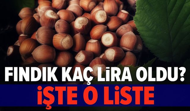 Fındık Fiyatları Güncellendi! 2025 Kasım Ayında Fındık Kaç Lira Oldu?