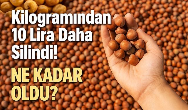 Fındık Fiyatları Bugün Ne Kadar Oldu? Kilogramından 10 Lira Daha Silindi!