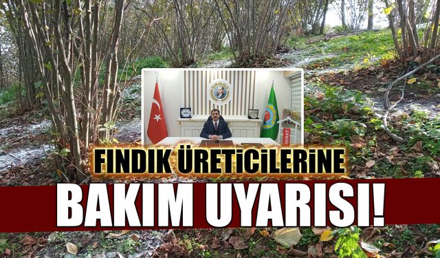 Akçaabat Ziraat Odası Başkanı Eyüpoğlu'ndan fındık üreticilerine bakım uyarısı