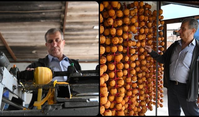 Trabzon hurmasıyla kazancını ikiye katladı! Lapseki’de altın gibi değer kazandı