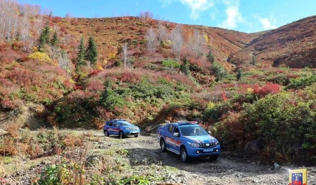 Artvin'de aranan 47 şahıs yakalandı! Devletten kaçamazsınız